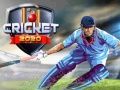 คริกเก็ต 2020 เกมออนไลน์