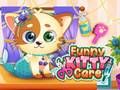 การดูแลแมวที่น่าขบขัน เกมออนไลน์