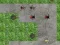 การป้องกันหอจักจั่น เกมออนไลน์