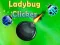 คลิกเกอร์แมลงเต่าทอง เกมออนไลน์