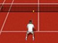 เทนนิสจริง เกมออนไลน์