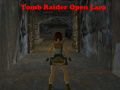 Tomb Raider: ลาร่าเปิด เกมออนไลน์