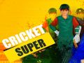ซูเปอร์คริกเก็ต เกมออนไลน์