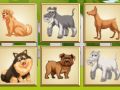 ความทรงจำของสุนัข เกมออนไลน์