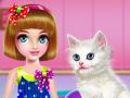 การดูแลและการจัดแต่งขนแมว เกมออนไลน์