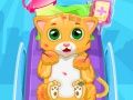 หมอแมวตัวน้อย เกมออนไลน์