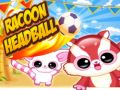 บอลหัวแรคคูน เกมออนไลน์
