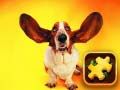 ปริศนาหมาน่าขำ เกมออนไลน์