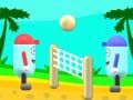 วอลเลย์บอลชายหาด เกมออนไลน์