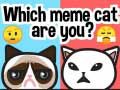 คุณเป็นแมวมีมตัวไหน? เกมออนไลน์