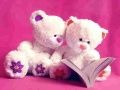 สัตว์ตัวน้อยตุ๊กตาหมีน่ารัก เกมออนไลน์