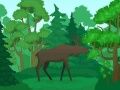 ระบายสีสัตว์ป่า เกมออนไลน์