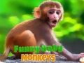 ลิงทารกน่าขำ เกมออนไลน์