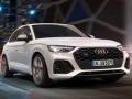 ออดี้ SQ5 TDI สไลด์ เกมออนไลน์