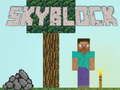 บล็อกท้องฟ้า เกมออนไลน์ บล็อกท้องฟ้า เกมออนไลน์