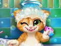 อาบน้ำแมวสนิม เกมออนไลน์