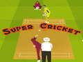 ซูเปอร์ครicket เกมออนไลน์