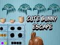 การหลบหนีของกระต่ายน่ารัก เกมออนไลน์