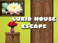 การหลบหนีจากบ้านที่น่าสยดสยอง เกมออนไลน์