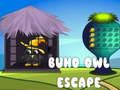 Buho นกเค้าแมวหลบหนี เกมออนไลน์