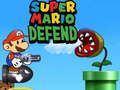 ซูเปอร์มาริโอป้องกัน เกมออนไลน์