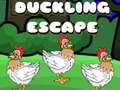 การหลบหนีของเป็ดตัวเล็ก เกมออนไลน์