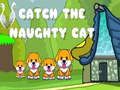 จับแมวซน เกมออนไลน์