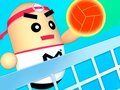 3D วอลเลย์บอลที่น่าทึ่ง เกมออนไลน์