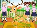 เบบี้เทย์เลอร์สัตว์ป่าแพทย์ เกมออนไลน์