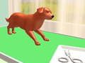 การดูแลสัตว์เลี้ยง เกมออนไลน์