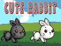 กระต่ายน่ารัก เกมออนไลน์