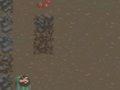 การอยู่รอด เกมออนไลน์
