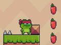 การผจญภัยของนินจาอ amphibian  เกมออนไลน์