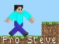 โปร สตีฟ เกมออนไลน์