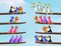 ปริศนาการจัดเรียงนก เกมออนไลน์