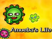 ชีวิตของอะมีบา เกมออนไลน์