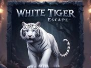 การหลบหนีของเสือขาว เกมออนไลน์