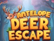 การหลบหนีของกวางทราย เกมออนไลน์