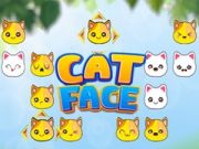 หน้าของแมว เกมออนไลน์