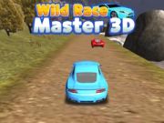 มาสเตอร์การแข่งขันสุดขีด 3D เกมออนไลน์