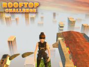 ความท้าทายบนดาดฟ้า เกมออนไลน์