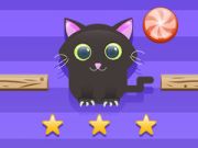 ความท้าทายแมว เกมออนไลน์