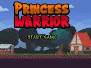 นักรบเจ้าหญิง เกมออนไลน์
