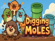 ขุดโมล เกมออนไลน์ ขุดโมล เกมออนไลน์
