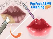การทำความสะอาด ASMR ที่สมบูรณ์แบบ เกมออนไลน์