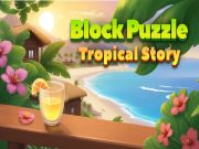 บล็อกเรื่องราวเขตร้อนของปริศนา เกมออนไลน์