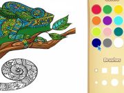 สมุดระบายสีสัตว์สำหรับผู้ใหญ่สำหรับเด็ก เกมออนไลน์