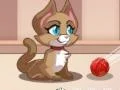 ฟองแมว เกมออนไลน์