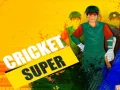 ซูเปอร์คริกเก็ต เกมออนไลน์