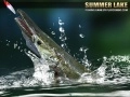 ทะเลสาบฤดูร้อน 1.5 เกมออนไลน์